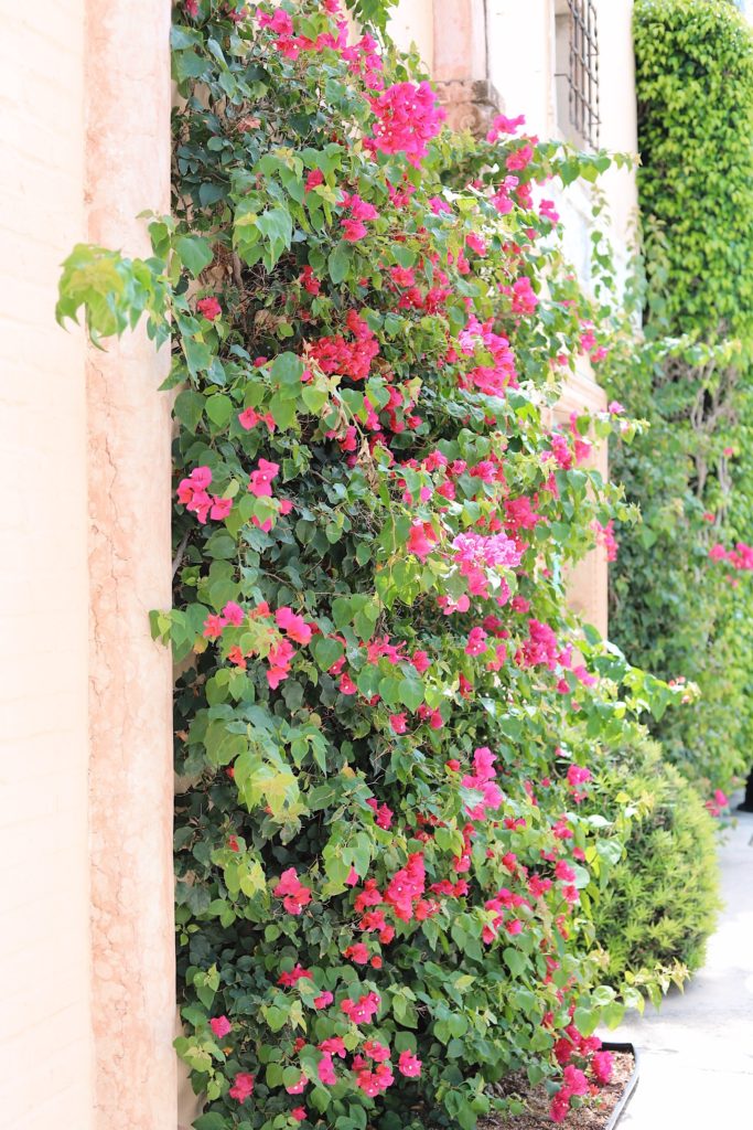 PALM BEACH TRAVEL GUIDE