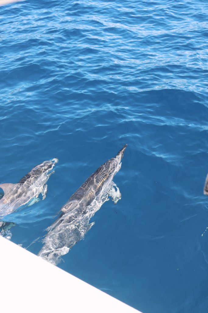 EVERYTHING I WORE AND DID IN MAUI, HAWAII