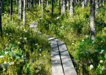 6 Sustainable Style Commitments of Costume Shirt Model Ella Hopfeldt