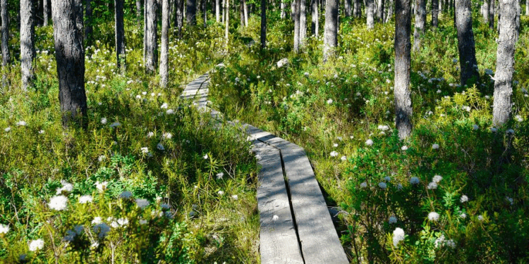 6 Sustainable Style Commitments of Costume Shirt Model Ella Hopfeldt